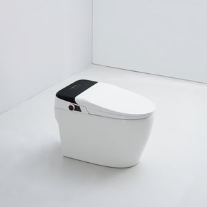 SMART ONE PIECE ELONGATED TOILET 