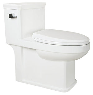 ONE PIECE ELONGATED TOILET 